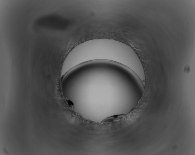 X0000096690192200802051046