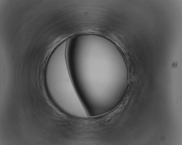 X0000096690193200802051045