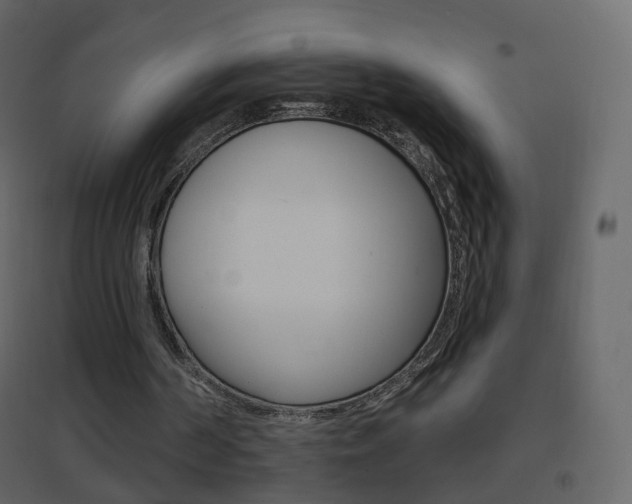 X0000096690194200802051045