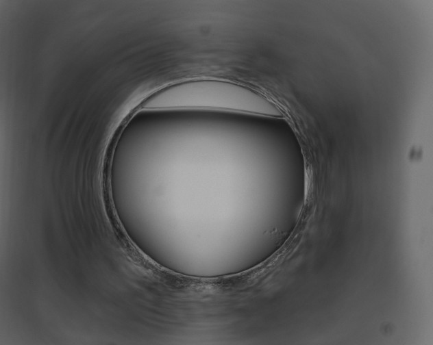 X0000096690195200802051045