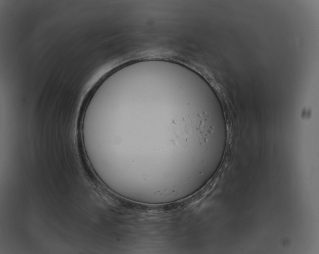 X0000096690196200802051045