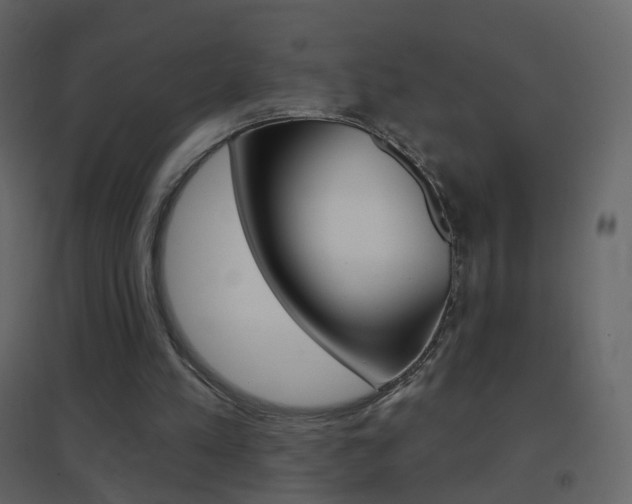 X0000096690197200802051045
