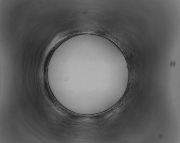 X0000096690198200802051045
