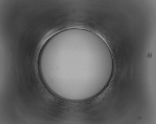X0000096690199200802051045