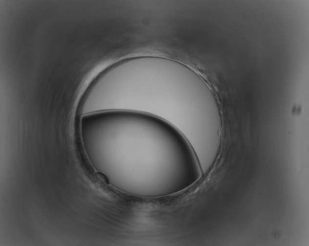 X0000096690200200802051045