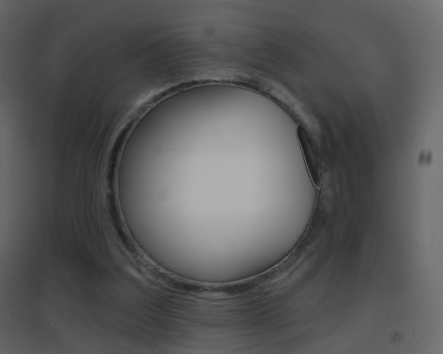 X0000096690203200802051045