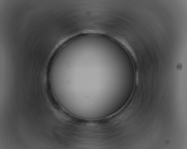 X0000096690204200802051045