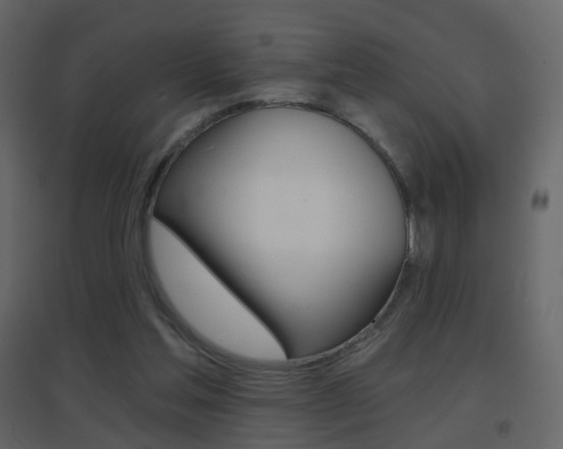 X0000096690205200802051045