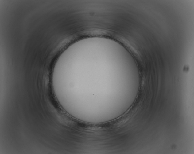 X0000096690206200802051045
