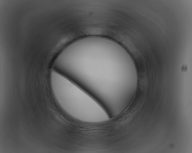 X0000096690207200802051045