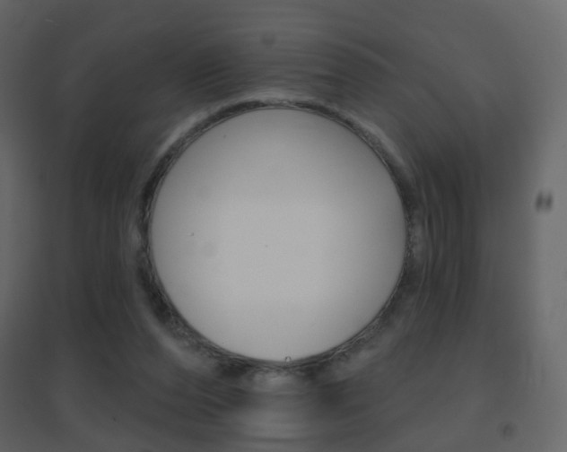 X0000096690208200802051045