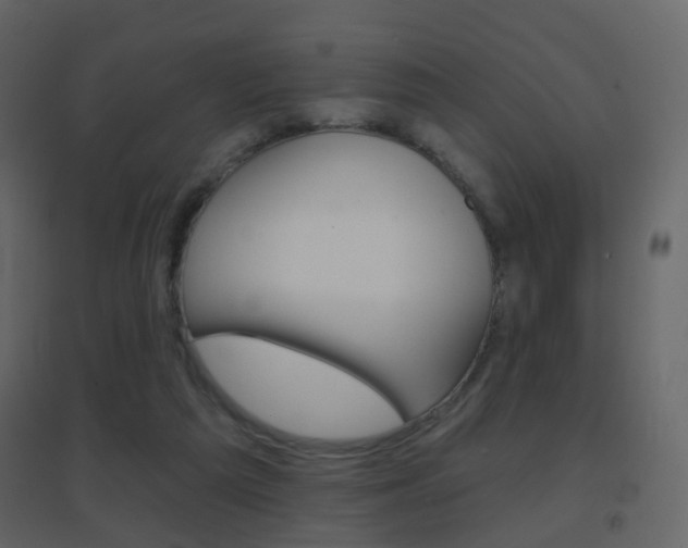 X0000096690209200802051045