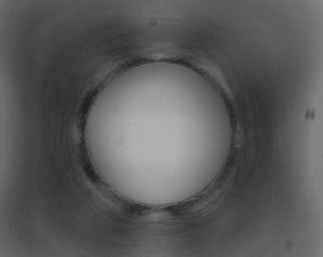 X0000096690210200802051045