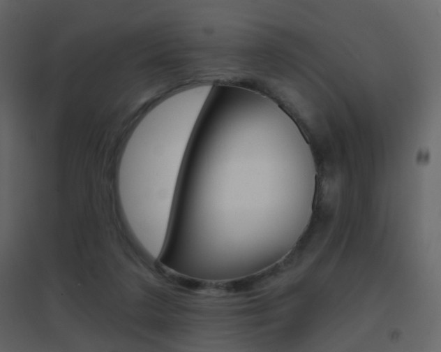 X0000096690211200802051045