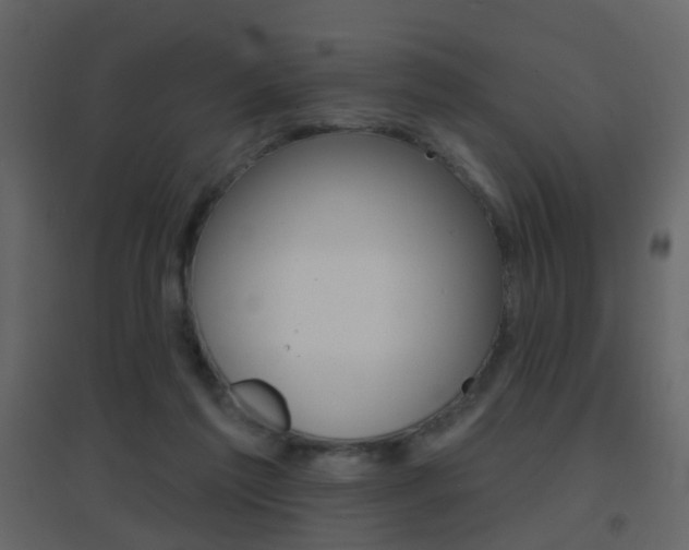 X0000096690213200802051045