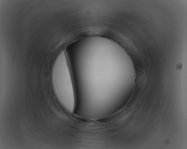 X0000096690215200802051045