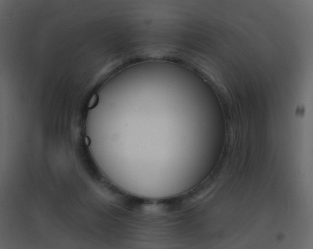 X0000096690216200802051045