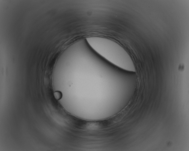 X0000096690218200802051045