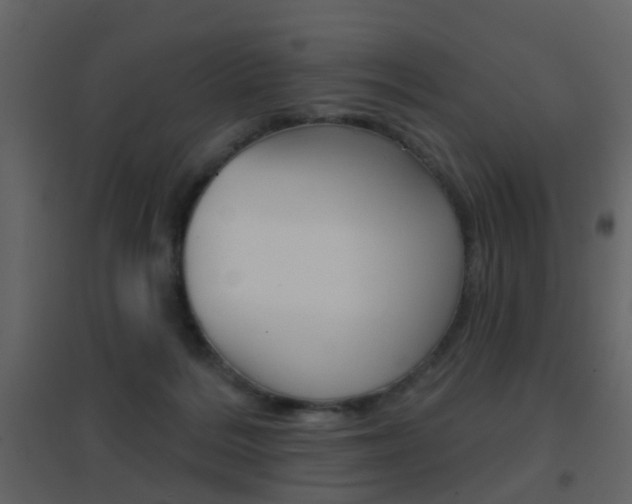 X0000096690220200802051045