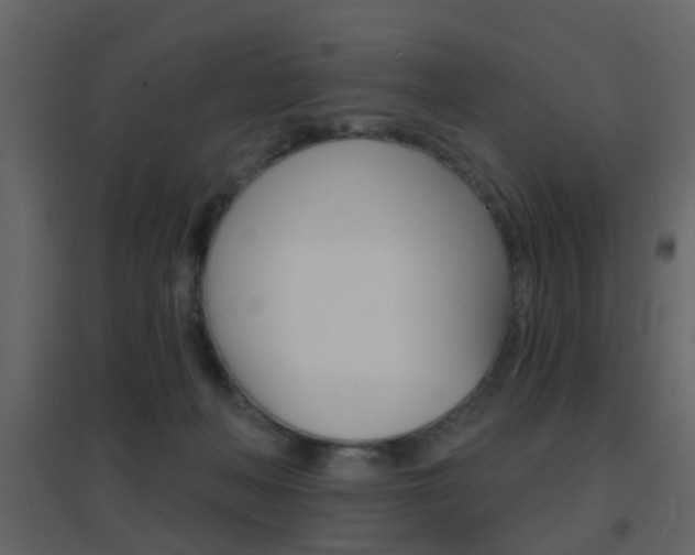 X0000096690222200802051045
