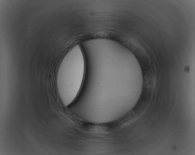 X0000096690223200802051045