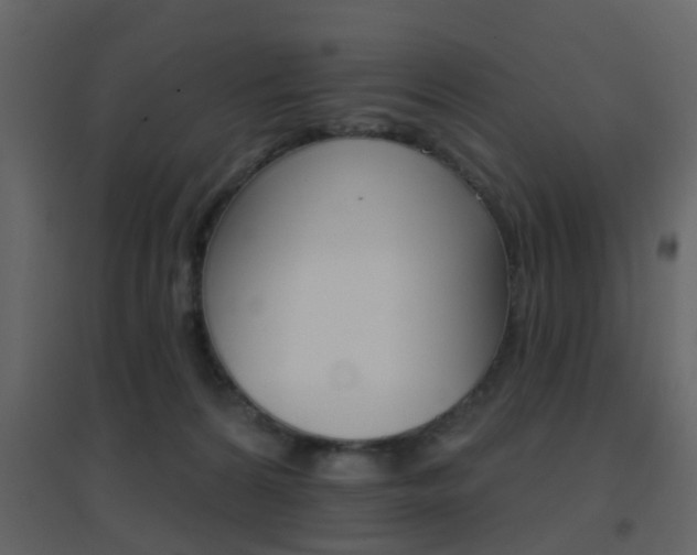 X0000096690224200802051045