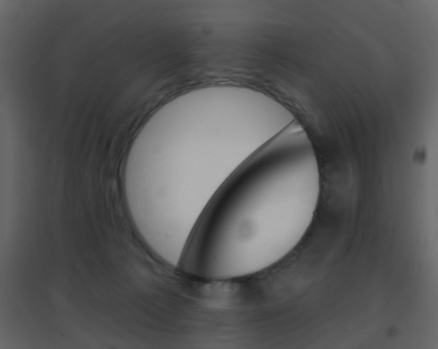 X0000096690225200802051045
