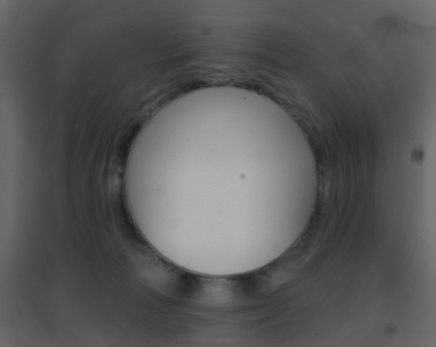 X0000096690226200802051045