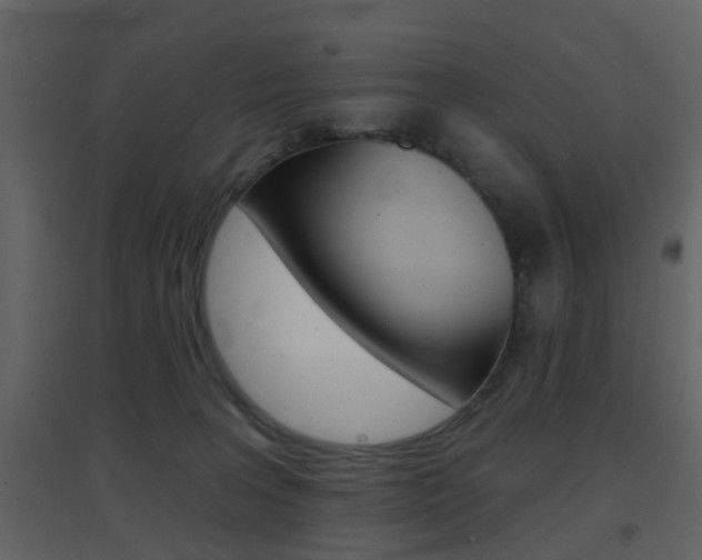X0000096690227200802051045