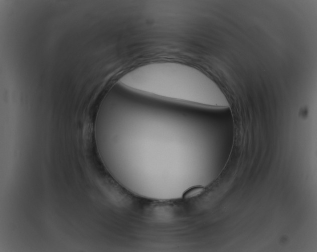 X0000096690228200802051045