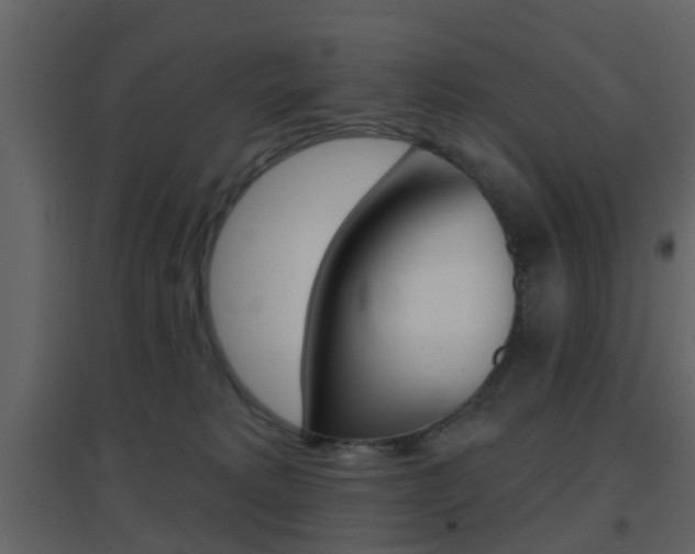 X0000096690229200802051045