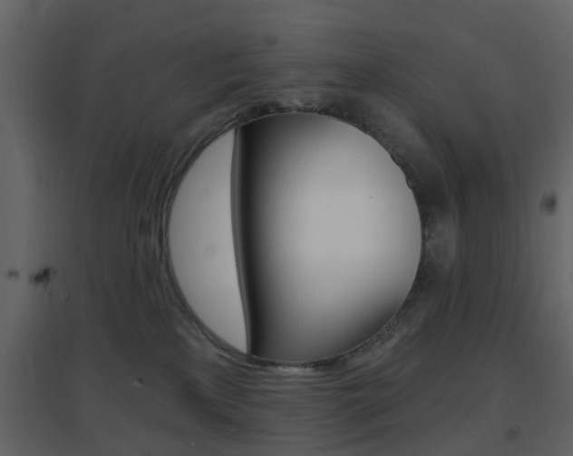 X0000096690233200802051045