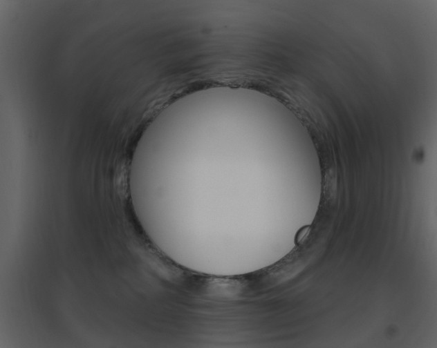 X0000096690234200802051045