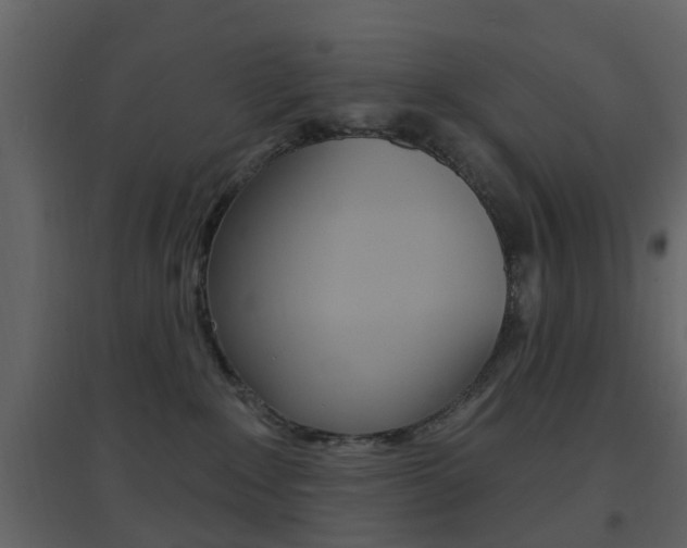 X0000096690235200802051045