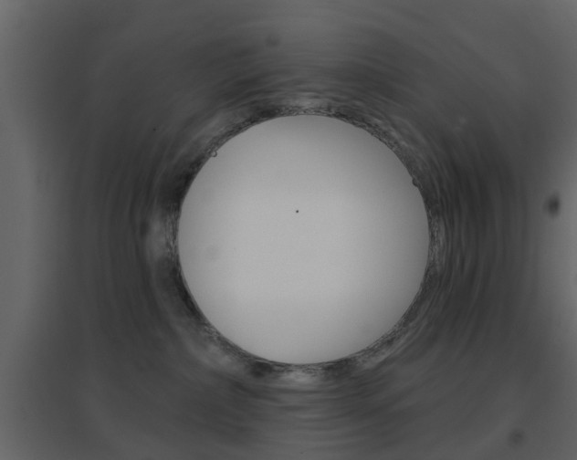 X0000096690236200802051045
