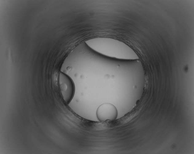 X0000096690238200802051045