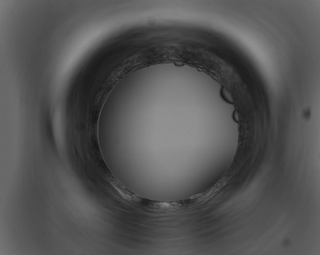 X0000096690239200802051045