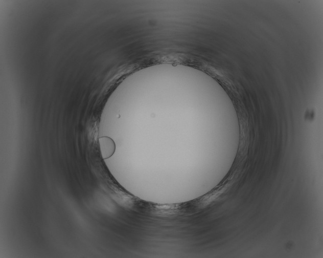 X0000096690240200802051045