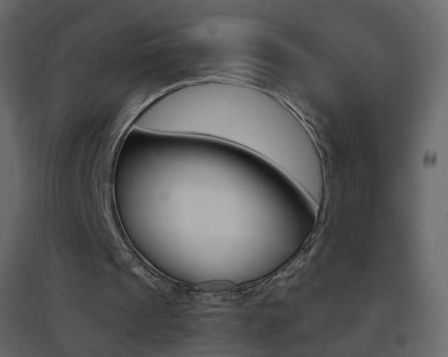 X0000096690241200802051044