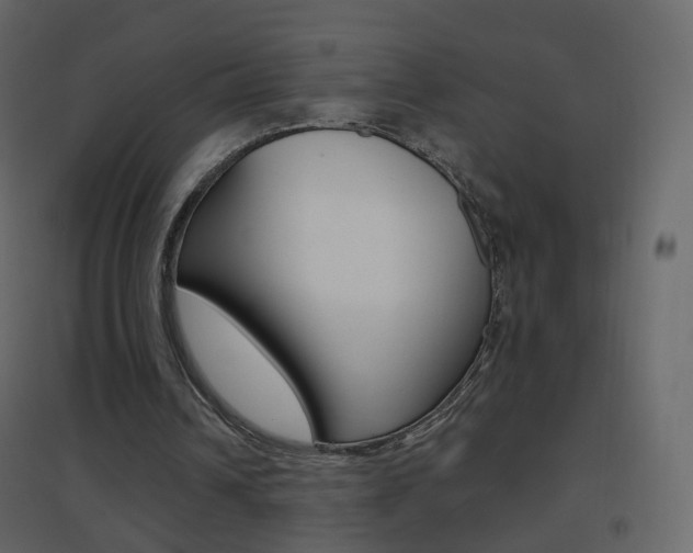 X0000096690242200802051044