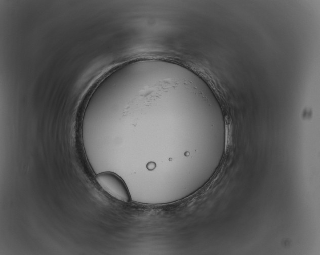 X0000096690243200802051044