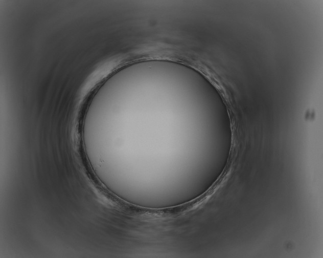 X0000096690245200802051044