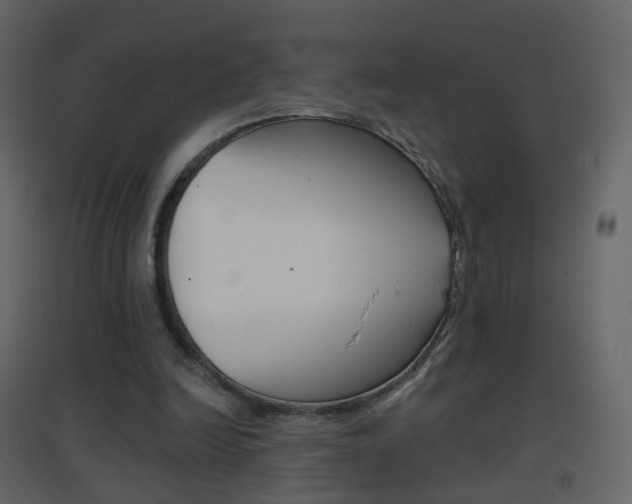 X0000096690246200802051044