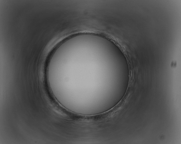 X0000096690247200802051044