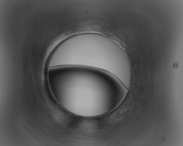 X0000096690248200802051044