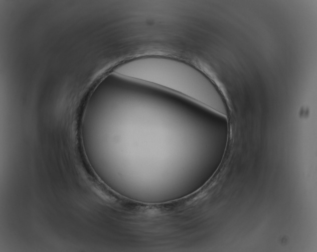 X0000096690249200802051044