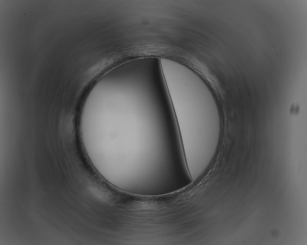 X0000096690250200802051044