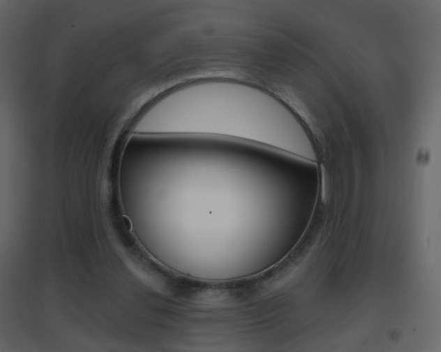 X0000096690252200802051044