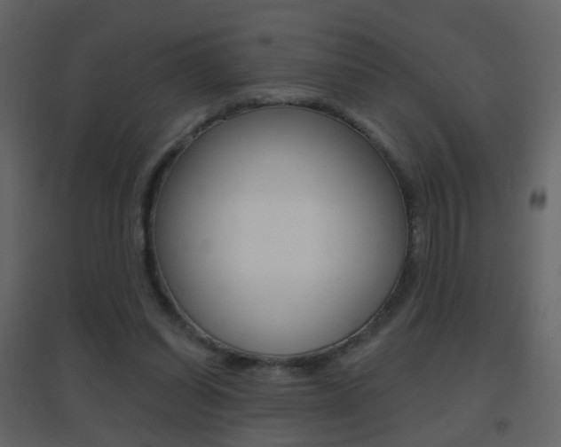 X0000096690254200802051044