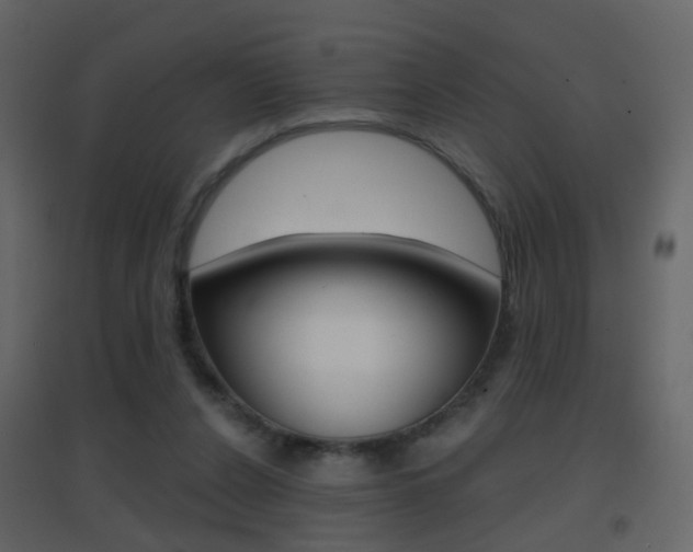 X0000096690256200802051044